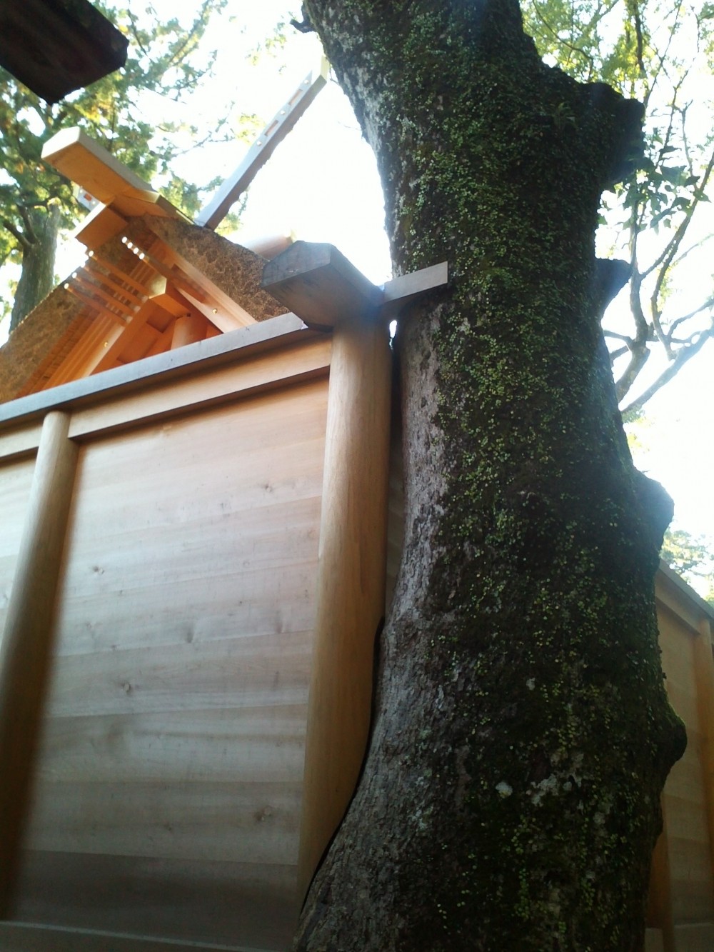 IMG00049.jpg